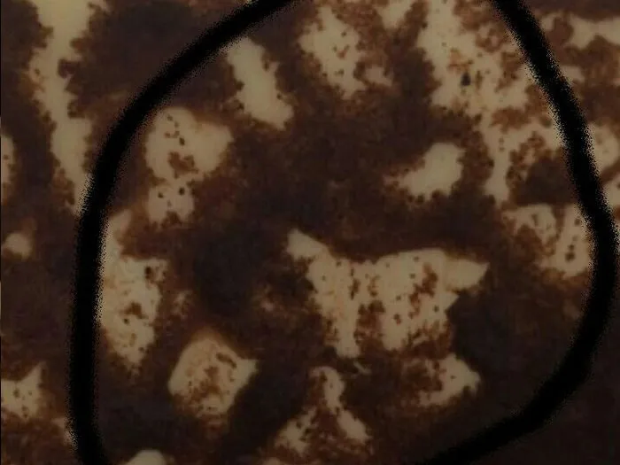 Консультация у гадалки-ясновидящей в Волжске